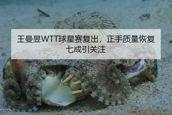 王曼昱WTT球星赛复出，正手质量恢复七成引关注