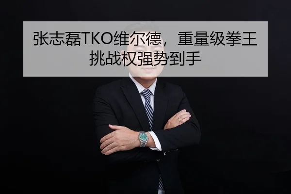 张志磊TKO维尔德，重量级拳王挑战权强势到手