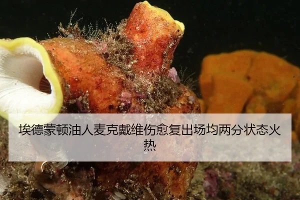 埃德蒙顿油人麦克戴维伤愈复出场均两分状态火热