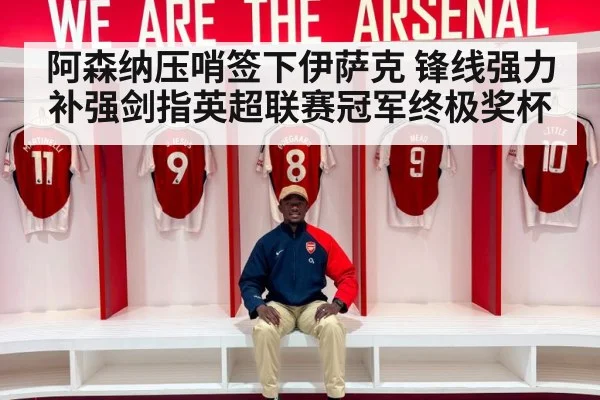 阿森纳压哨签下伊萨克 锋线强力补强剑指英超联赛冠军终极奖杯