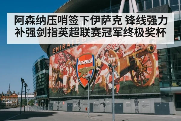 Arsenal football transfer