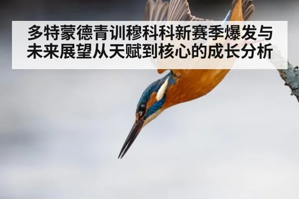 多特蒙德青训穆科科新赛季爆发与未来展望从天赋到核心的成长分析